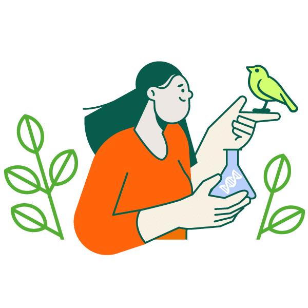 rgb personnage tech bioecologie