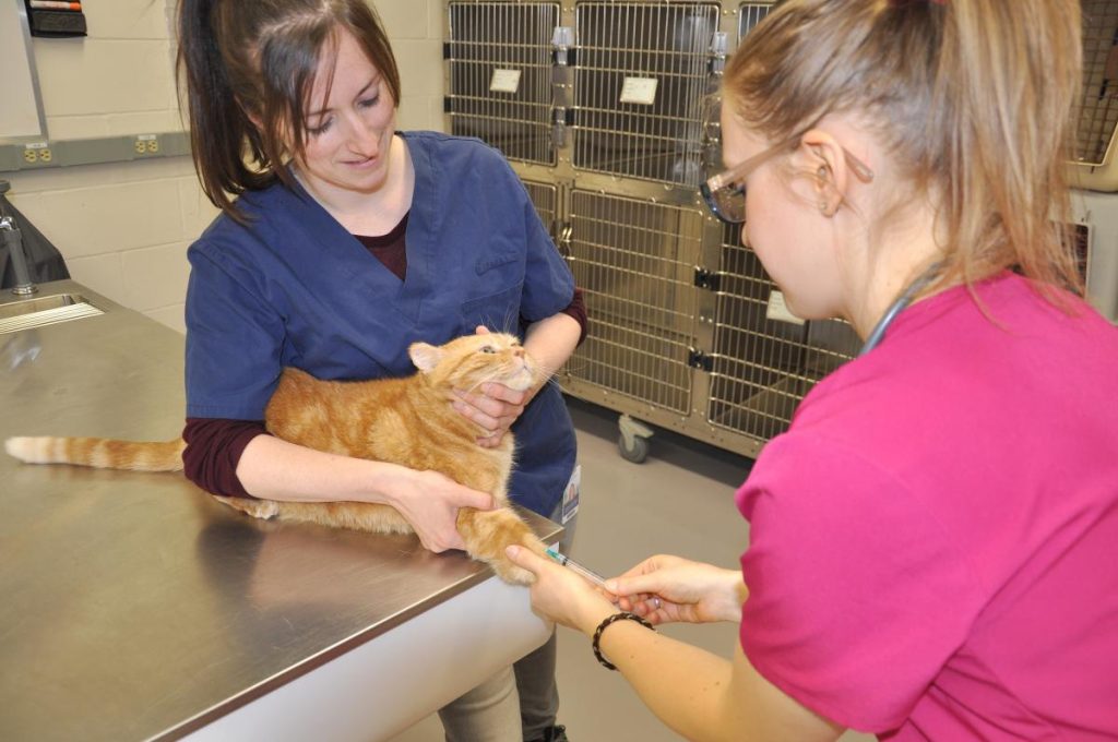 CdeS animalerie TSA article2