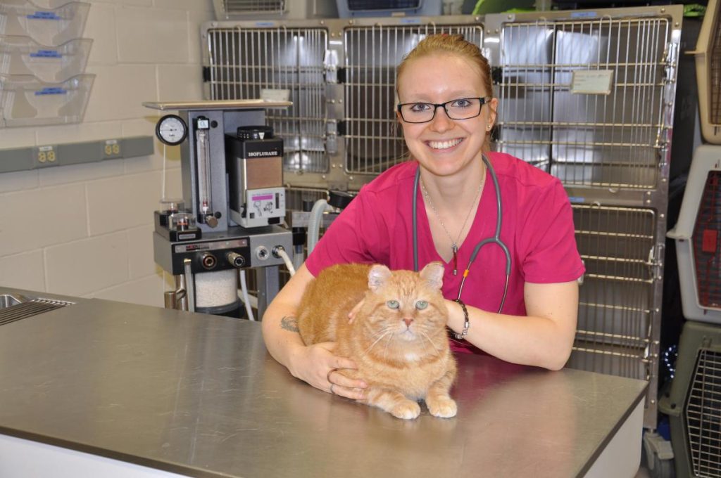 CdeS animalerie TSA article3