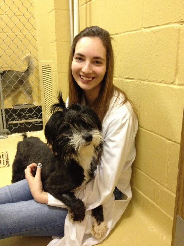 CdeS animalerie TSA article4