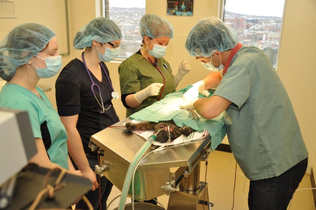 CdeS chirurgie TSA article4
