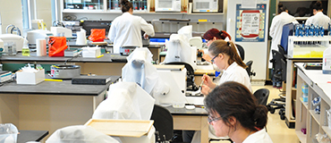 Photo d'une classe en laboratoire