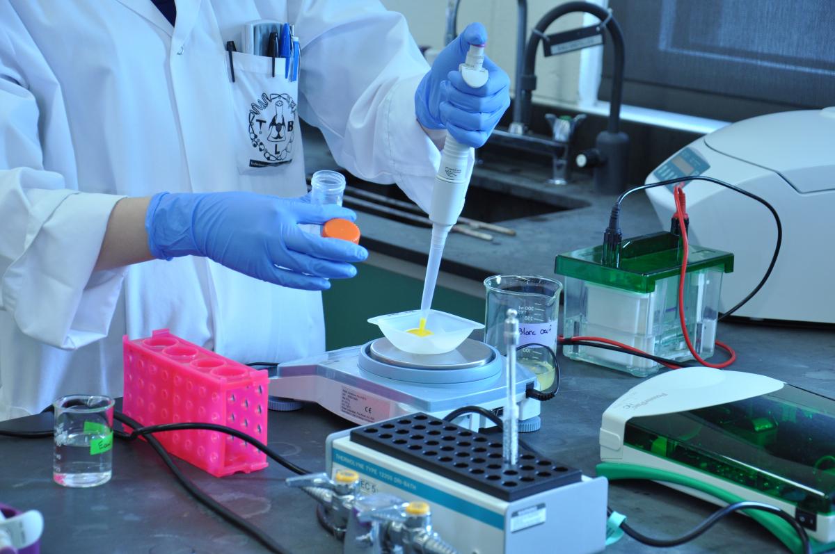 Mains gants bleus et pipettes