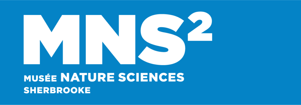 MNS2 Logo Corpo RGB 1024x359 1