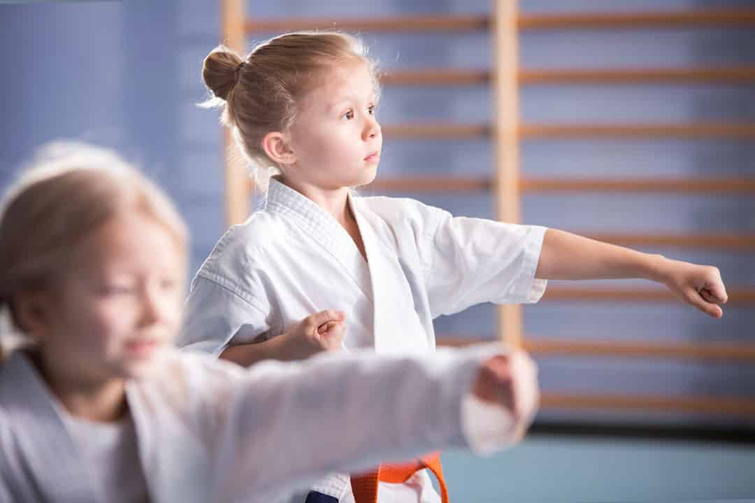 CdeS CAP activites karate 3 5